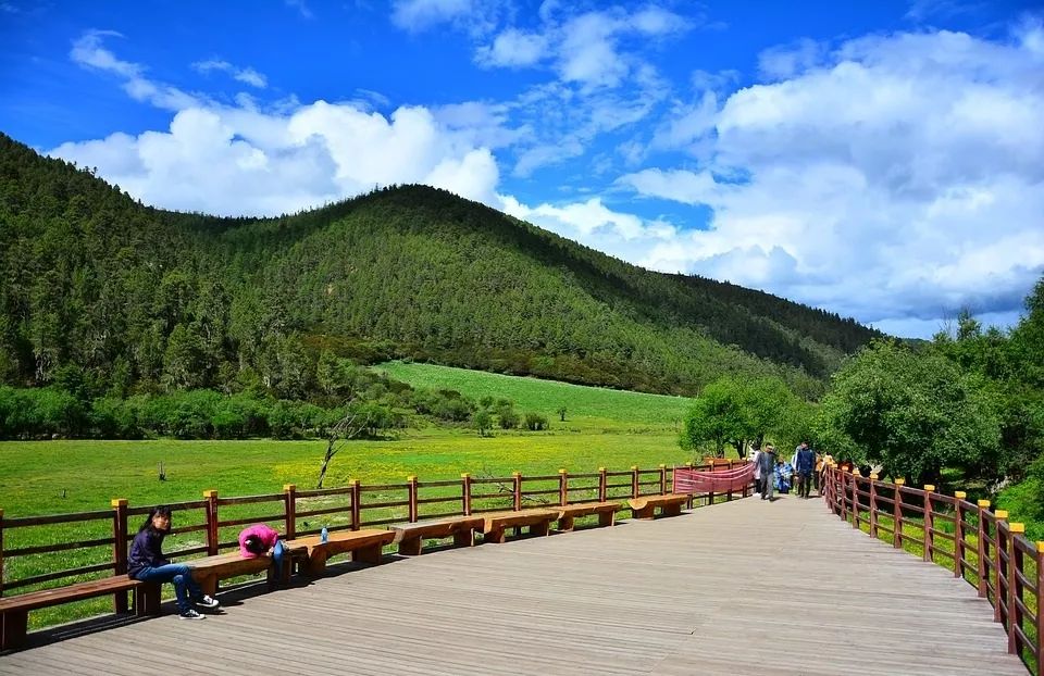 养心养肺之旅,静心养肺养心