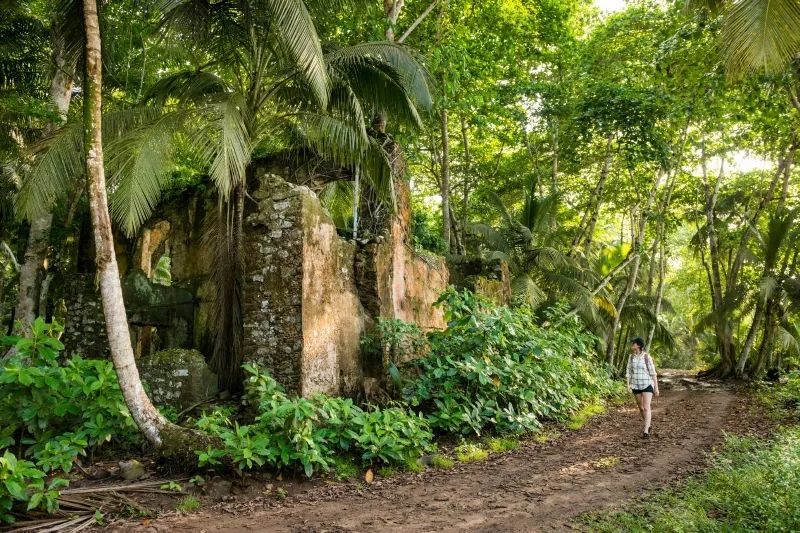 鏋佽嚧鏃呰浣撻獙,鏃呰鏋佽嚧浣撻獙