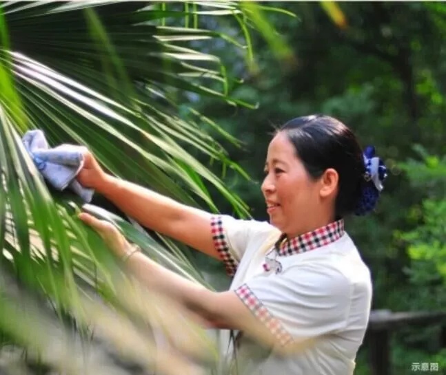 端午玩法,端午民俗游传统文化添活力