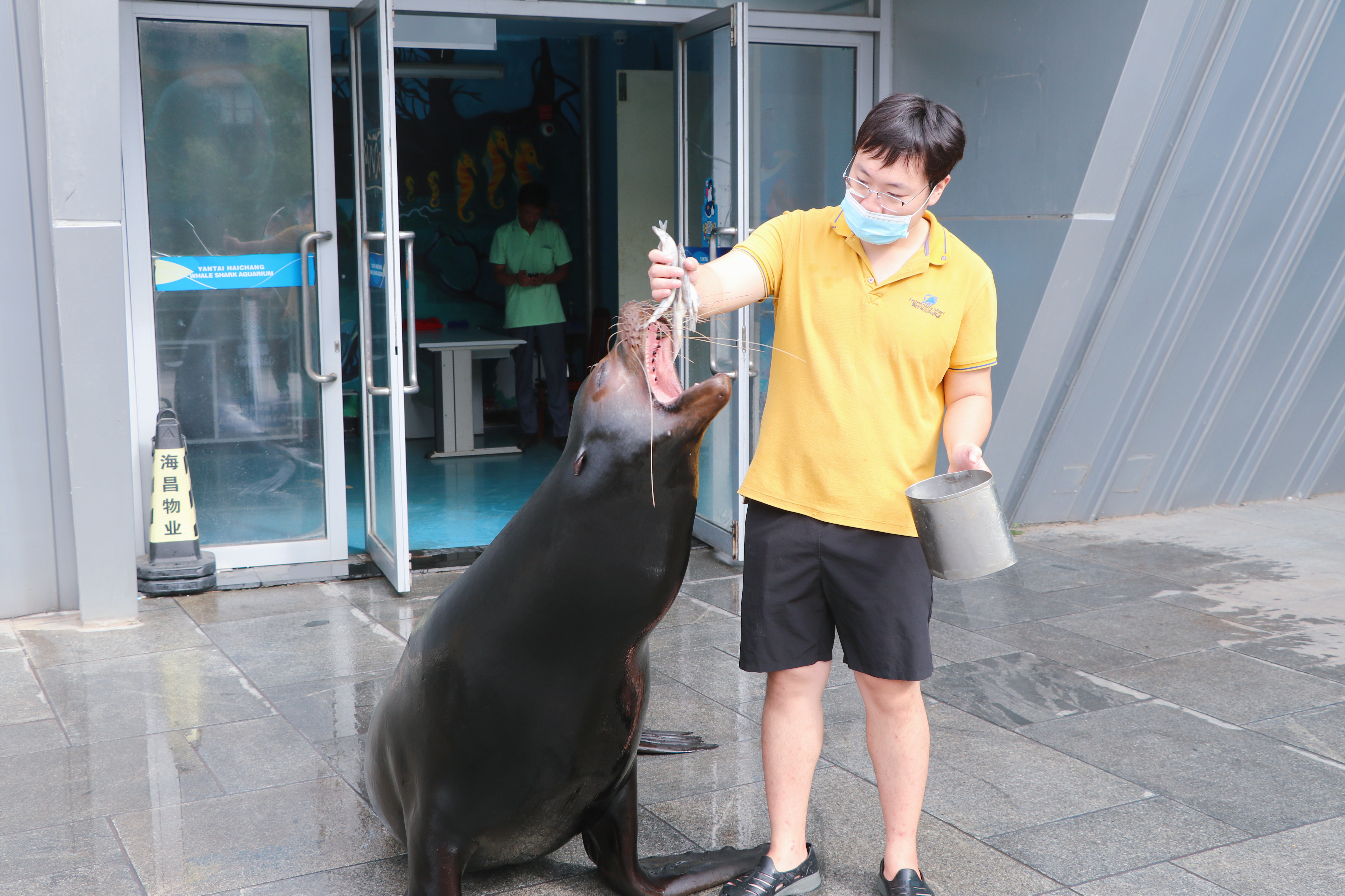 秋分后不要乱贴秋膘,立秋贴秋膘还是秋分贴秋膘