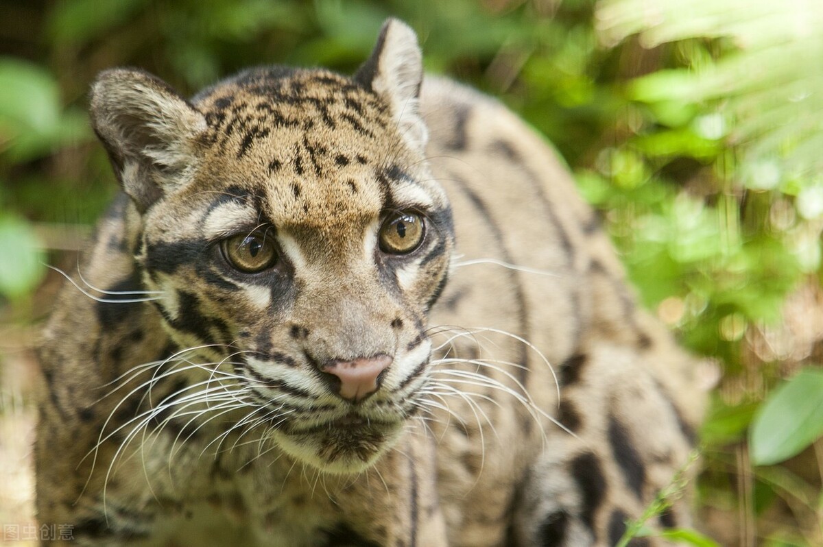 浜烘枃鍦扮悊璧拌繘鍙版咕,鍙版咕涔℃剚鍦板浘