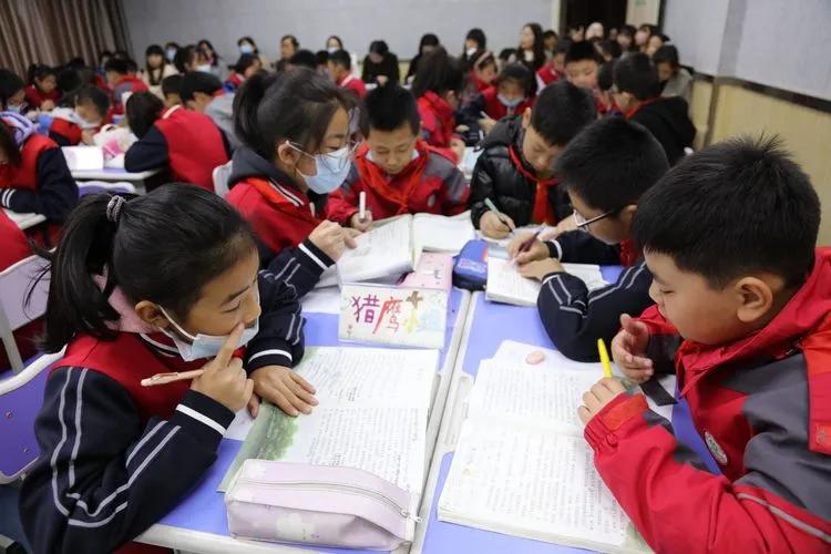 “双减”进行时|守好课堂主阵地,来为“双减”加把力