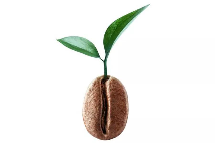 关于葡萄酒酒精度数的那些事,带甜味的葡萄酒类型是什么