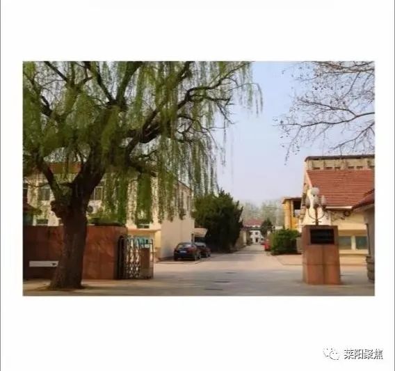 莱阳聚焦,聚焦烟台莱阳回放