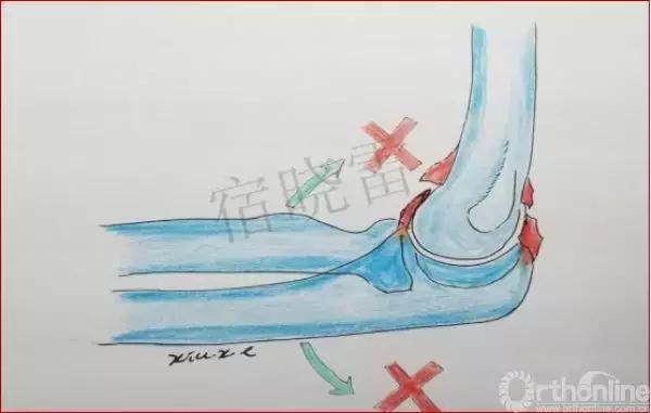 手绘科普视频,手绘类科普