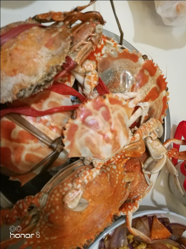 带老妈游海南,带老妈三亚游记