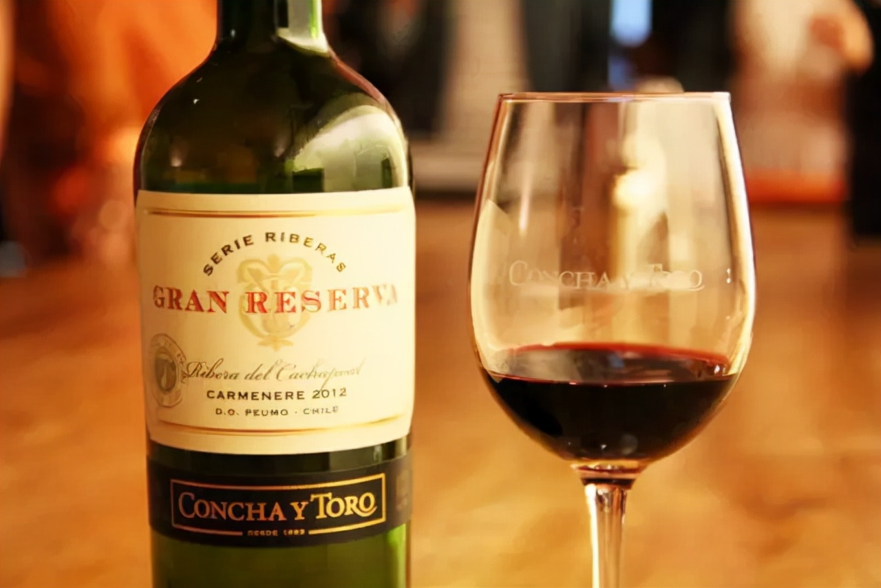 怎样识别葡萄酒的好坏,不开瓶盖如何辨别真假红葡萄酒