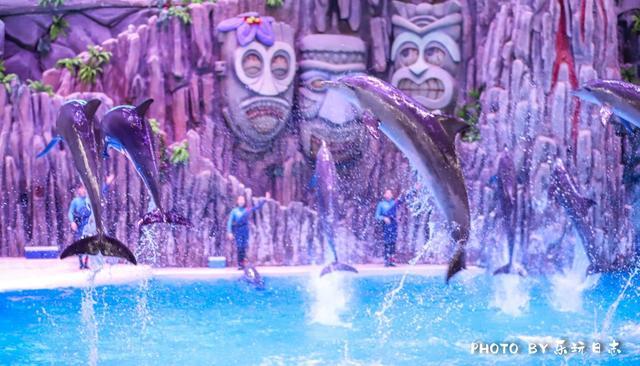 来珠海亲子必打卡景点，人工飘雪海洋动物表演，最适合周末亲子游