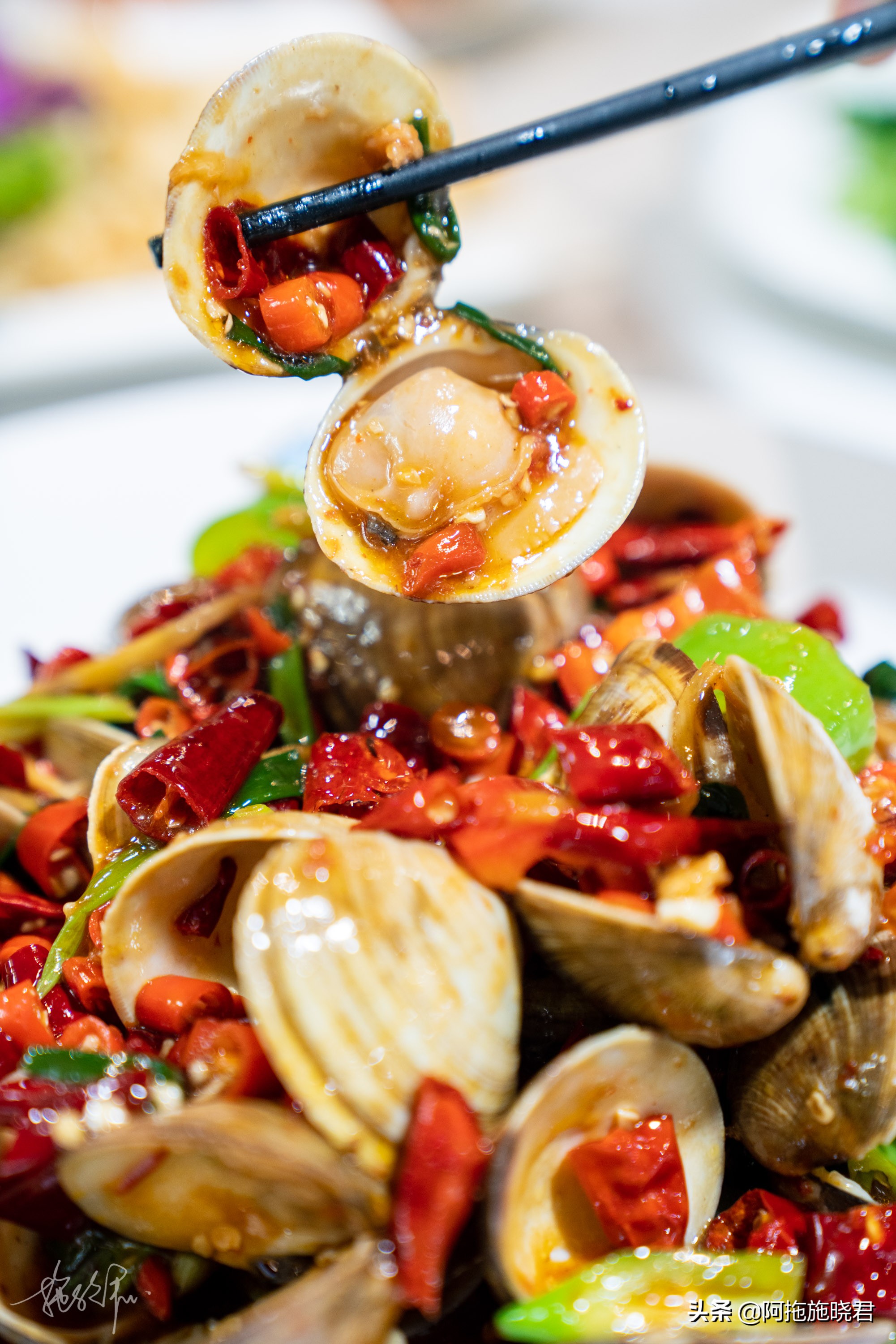 三亚避寒15天游玩攻略,三亚避寒游攻略