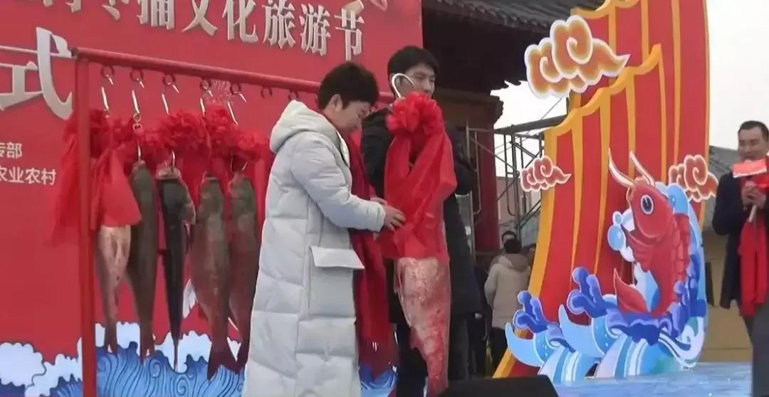 2016年360万天价鱼,头鱼为什么拍出近300万天价