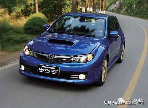 ​近乎残疾，不忍直视|流浪豹STI收养记Vol.01