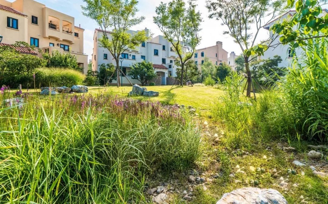 园冶杯荣誉奖,2022园冶杯地产园林奖是什么