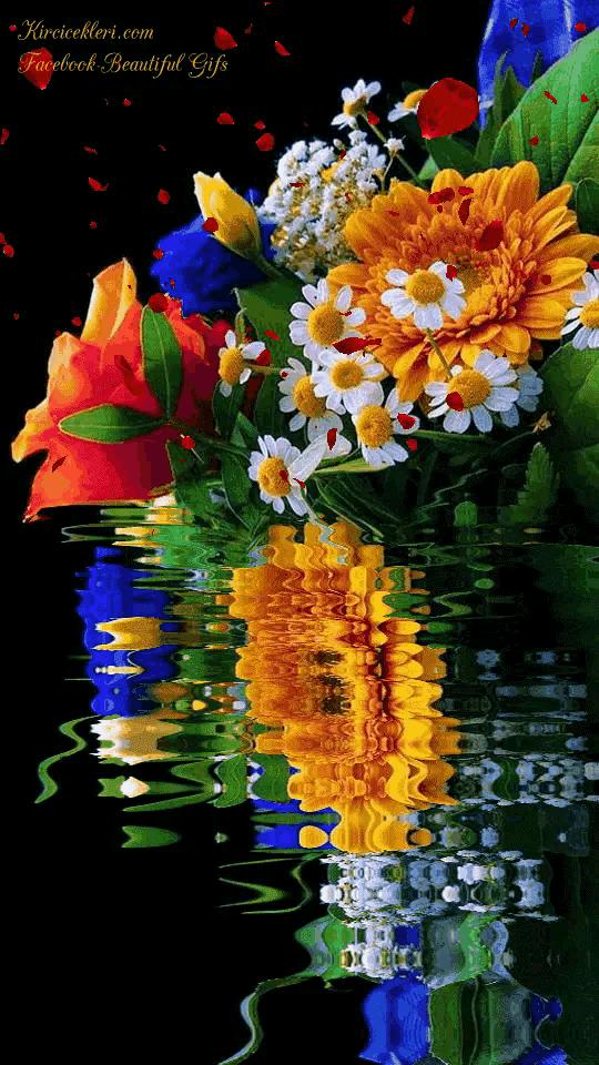 这是我见过最美丽的风景用英语,这是我见过最美的风景啥意思