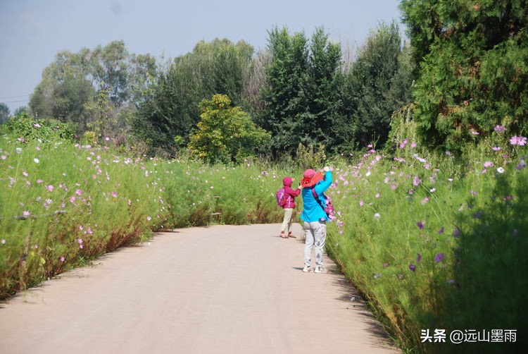 昆明嘉丽泽小镇旅游,昆明嘉丽泽水乡
