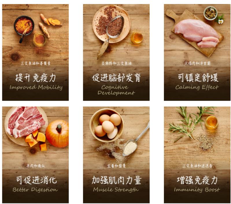 鲜朗和纽顿猫粮哪个好,纽顿犬粮