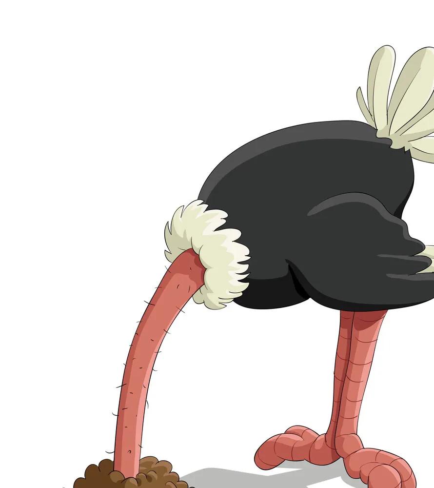 当我读《风声》时,我在读什么?