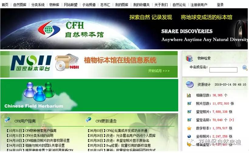 植物检索网站官网,植物检索表100种