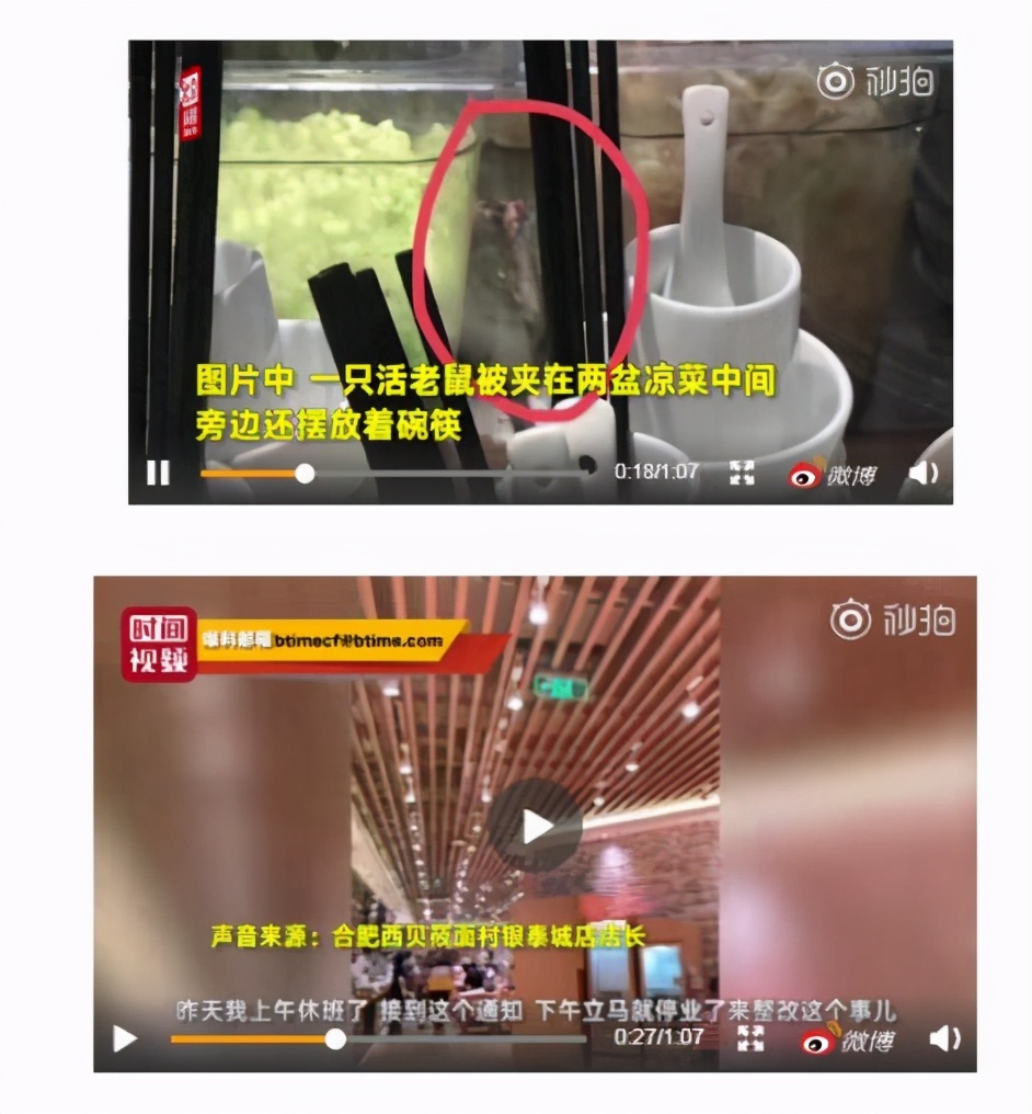 餐饮业常见的虫害及防治措施,蔬菜安全除虫药剂