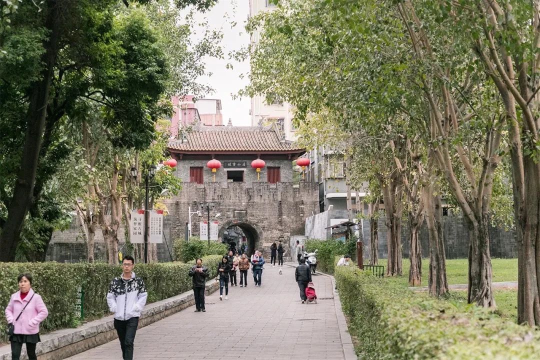 去深圳免费游玩的10个地方,深圳免费游玩景点推荐