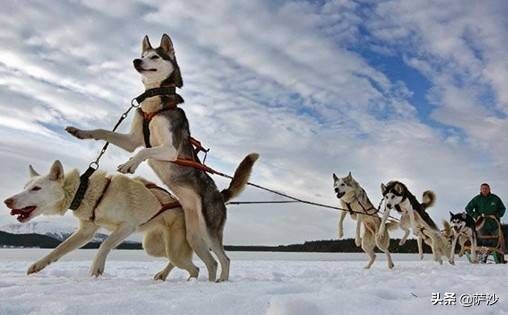 1867年购买阿拉斯加,1867年阿拉斯加