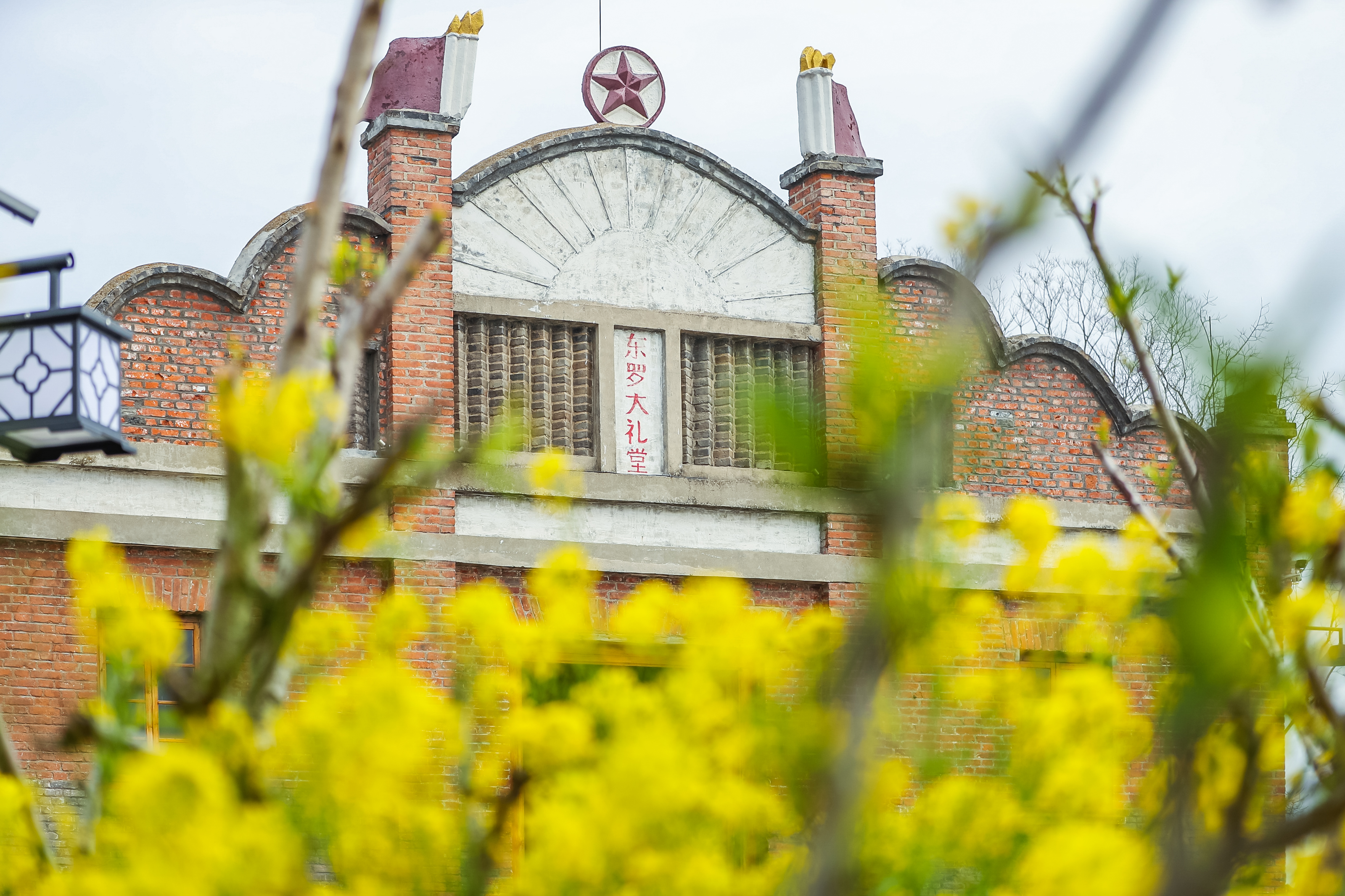 兴化三日游自驾游路线,去兴化看油菜花海攻略