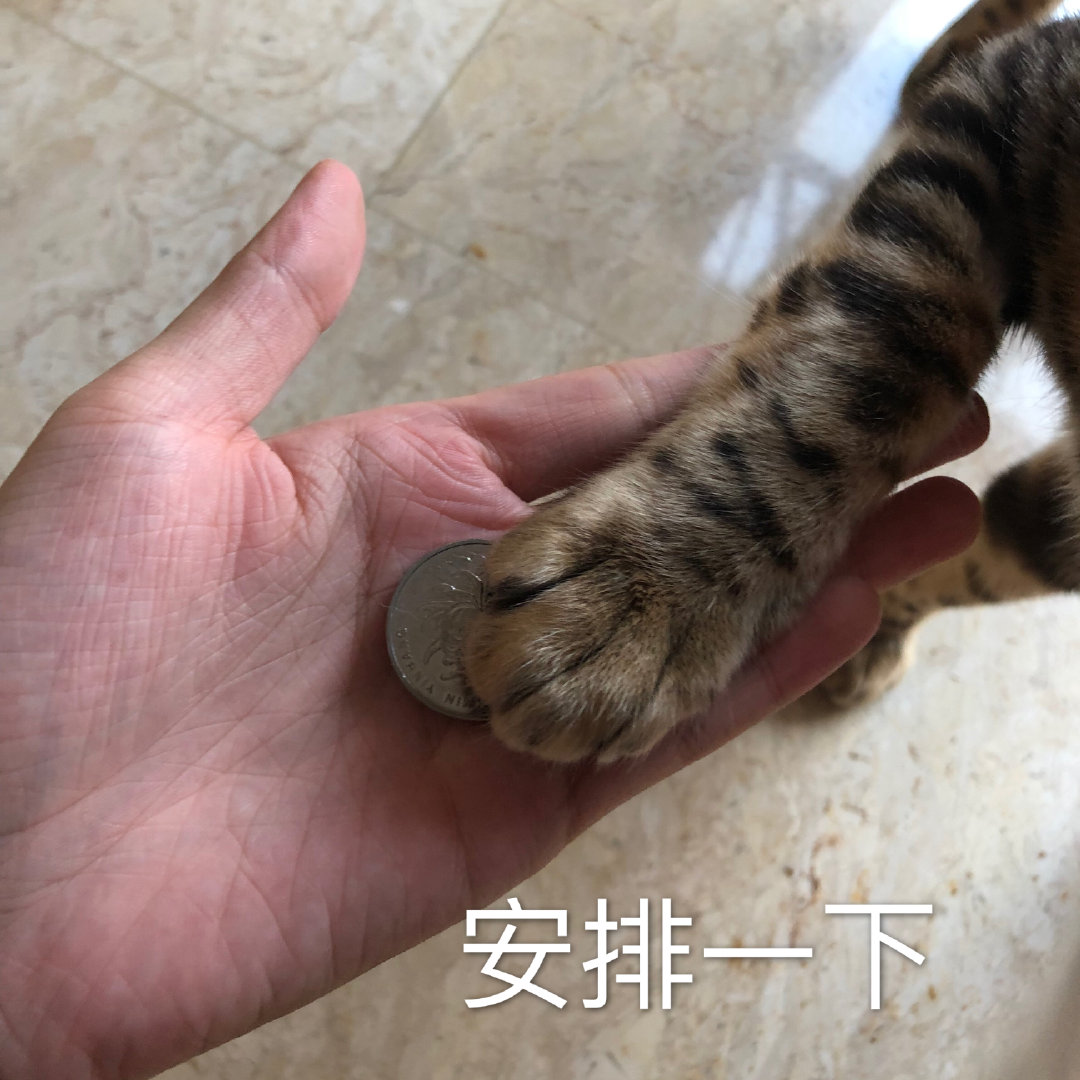 拒绝只敢露脸的“假精致”，夏季身体护理干货（上）