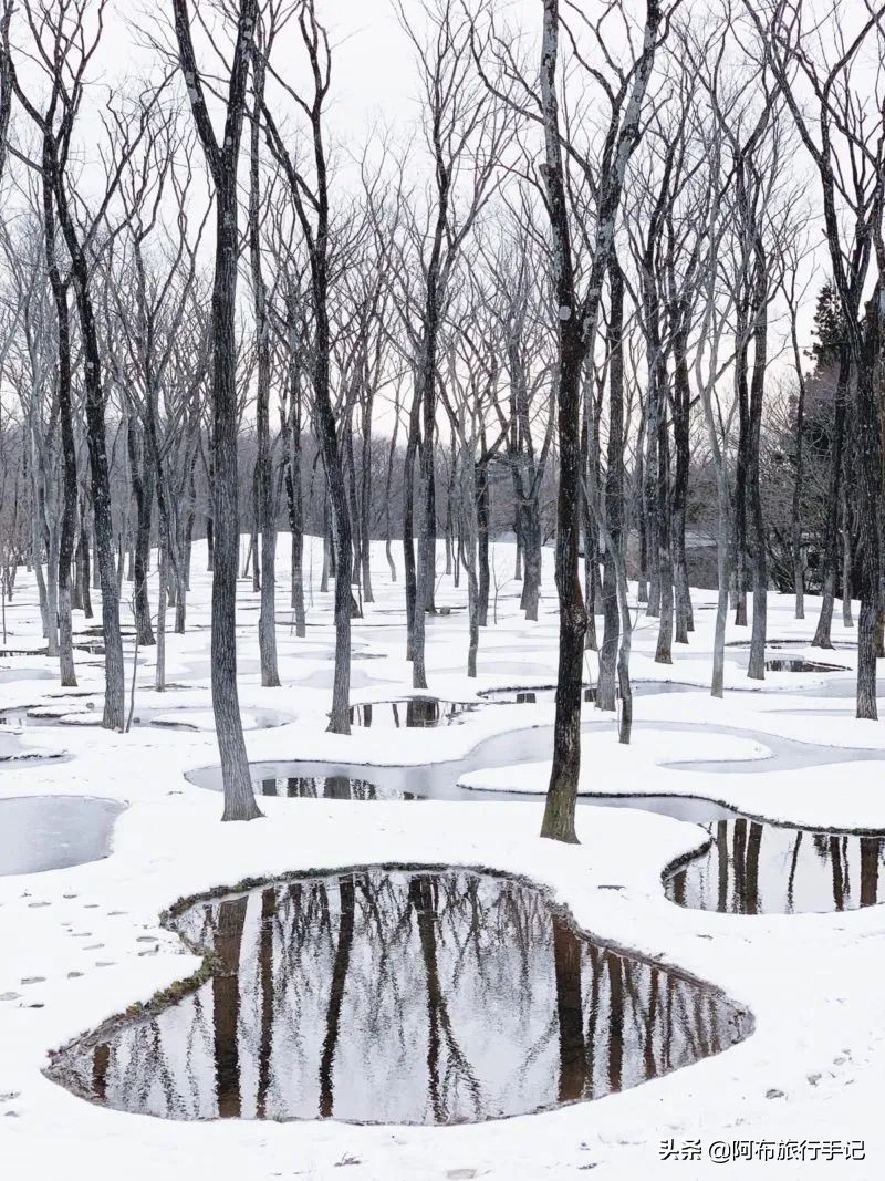 2020年日本优良设计奖申报,2023设计奖日本