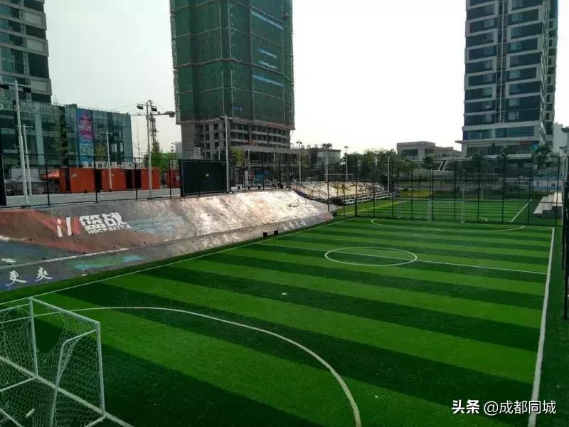 成都公共球场,成都公共体育场馆