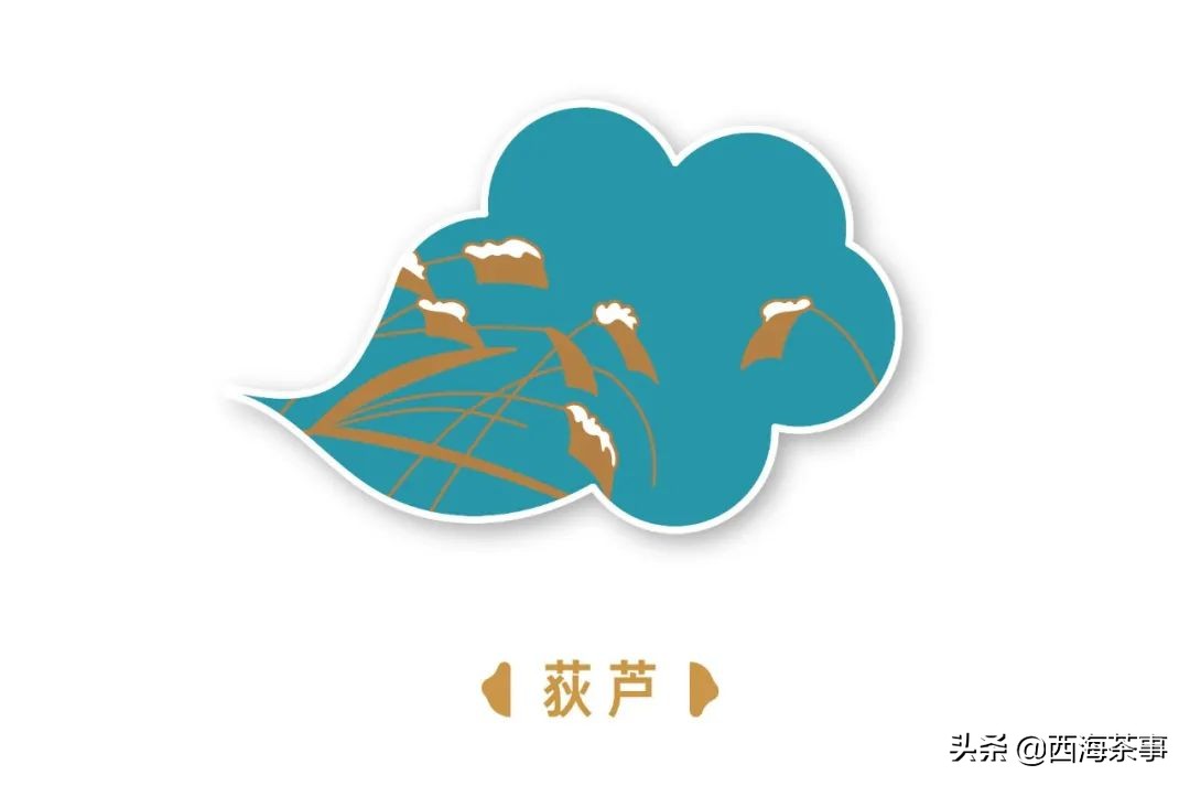 小雪煮茶，没有把手的茶壶却不烫手？急须壶的名字有什么来历？