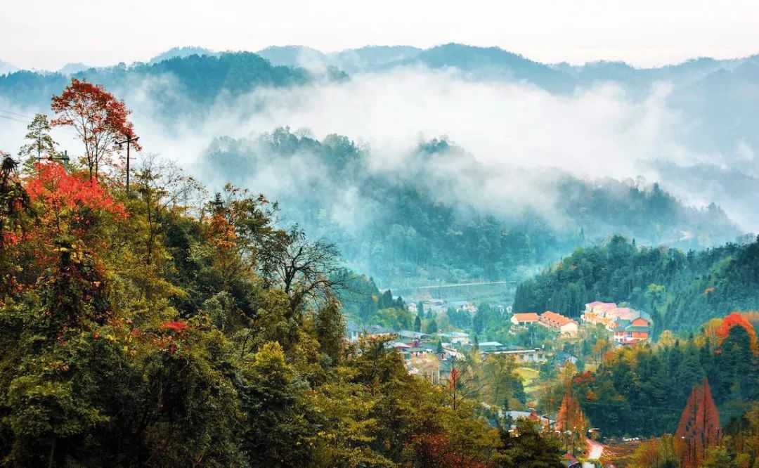 1h飚拢！千年银杏、云海星空、木屋烧烤……这条路线9……