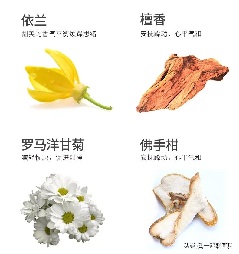 多梦调理助眠视频,失眠多梦怎么办教你一招