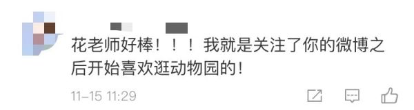 4个月宝宝逛北京动物园,武汉最好逛的动物园