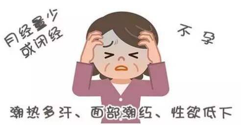 快速备孕的四大受孕秘籍,备孕前怎么补气血