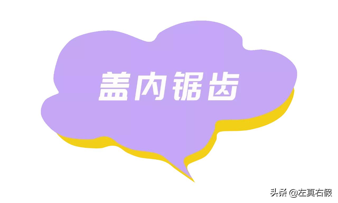 兰芝保湿修护唇膜真假辨别,兰芝唇膜新版真假鉴别图