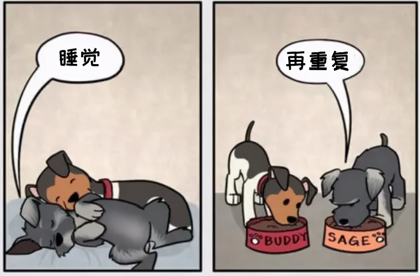 铲屎官和狗子的漫画,铲屎官和狗子们漫画