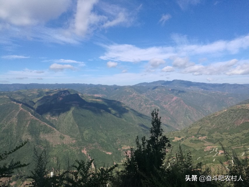 农村创业国家扶持项目小作坊,农村创业项目推荐2022