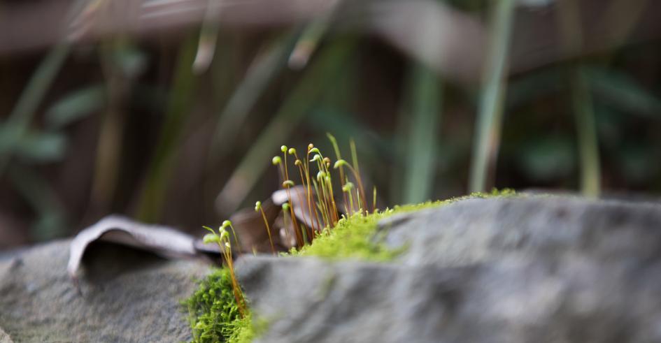 越没有本事的男人越喜欢做什么,人没本事一看便知喜欢做三件事
