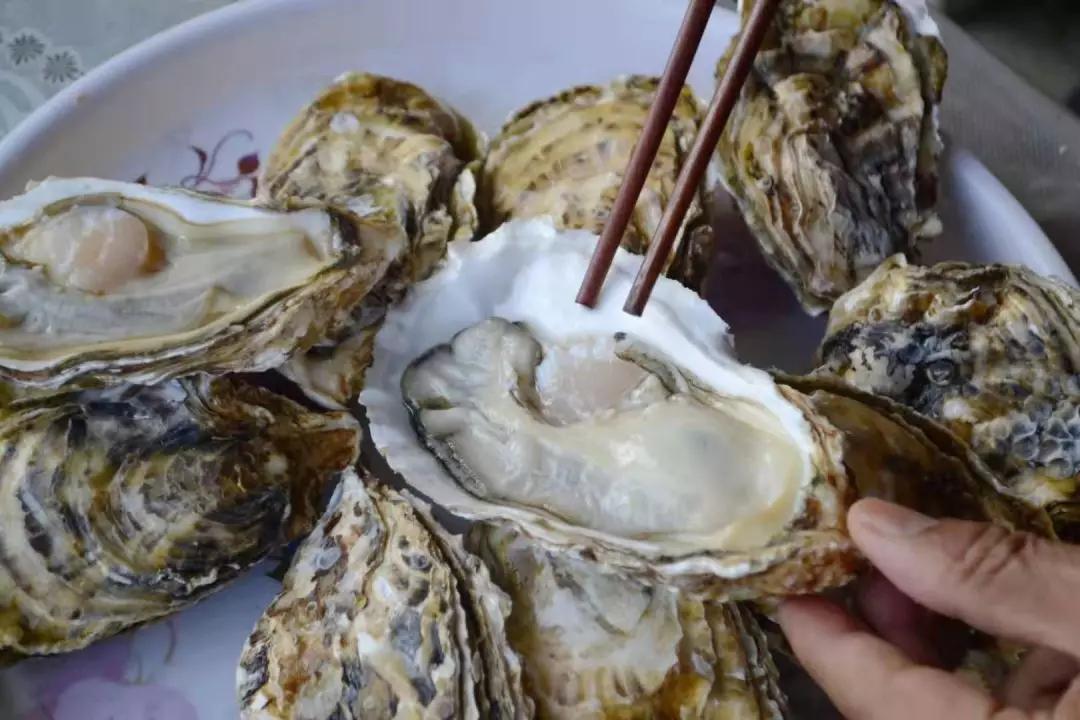 冷水海蛎子,荣成哪里能买到新鲜的乳山牡蛎