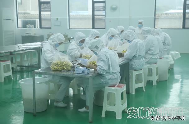 航天空间站里又闻安顺“牛来香”