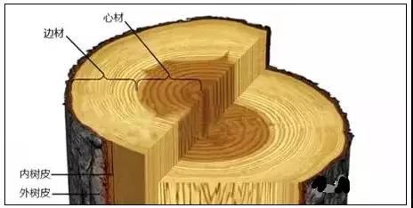 我家的地板不平怎么办,地板有色差如何解决