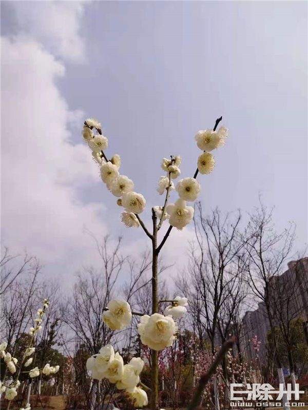 对话雅盛装饰金牌项目监理——叶金念：“坚守品质，方得始终”