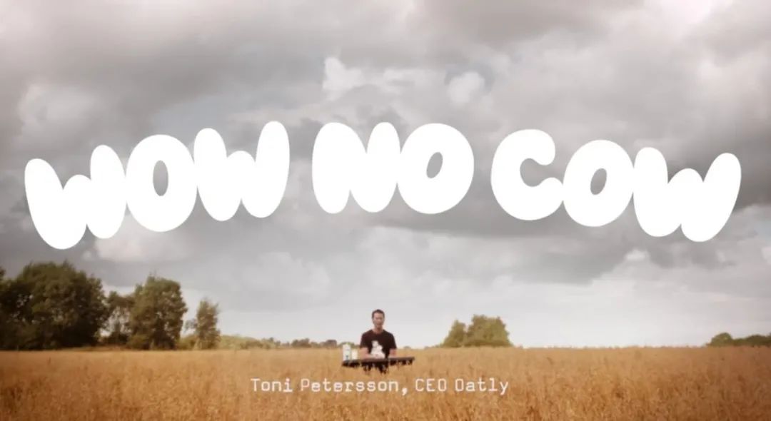 燕麦奶是否可以代替牛奶,燕麦奶可以取代牛奶