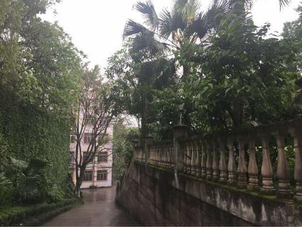 重庆南岸区公立小学学校,重庆南岸区小学排名一览表