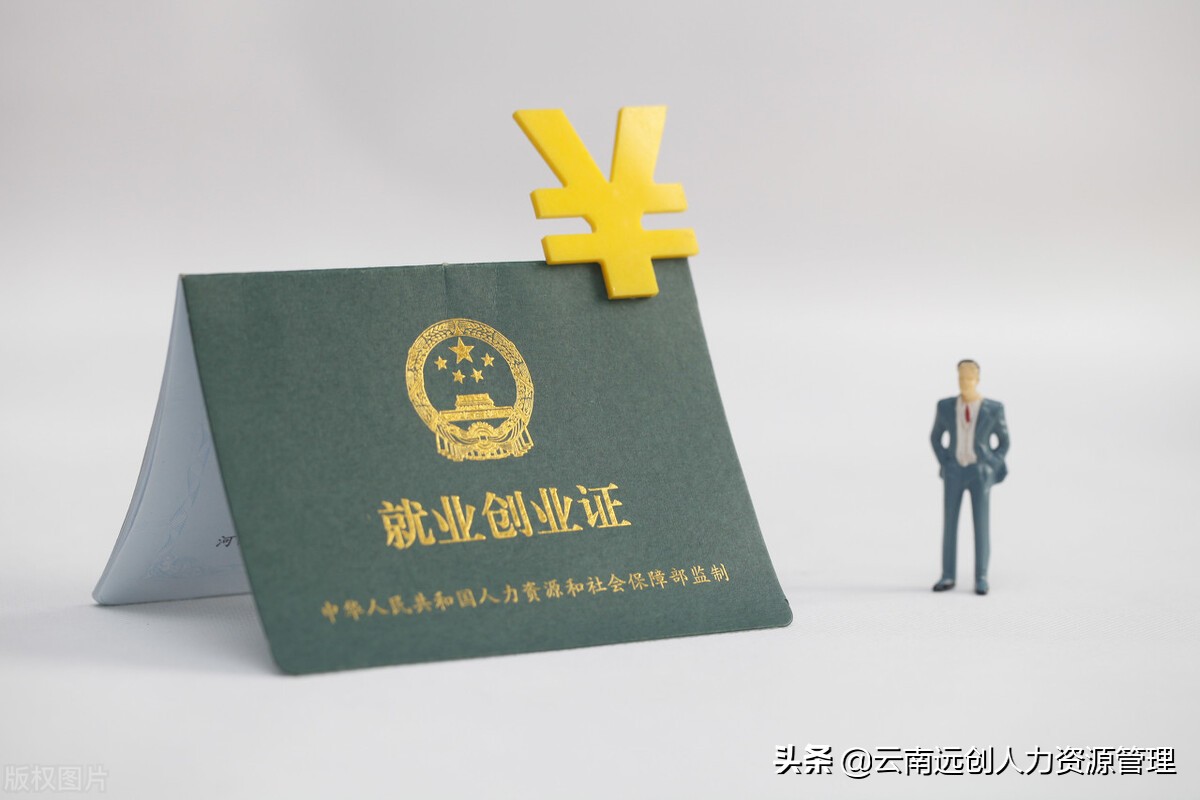 大学生种地补贴政策2021标准,大学生就业补贴政策2021标准