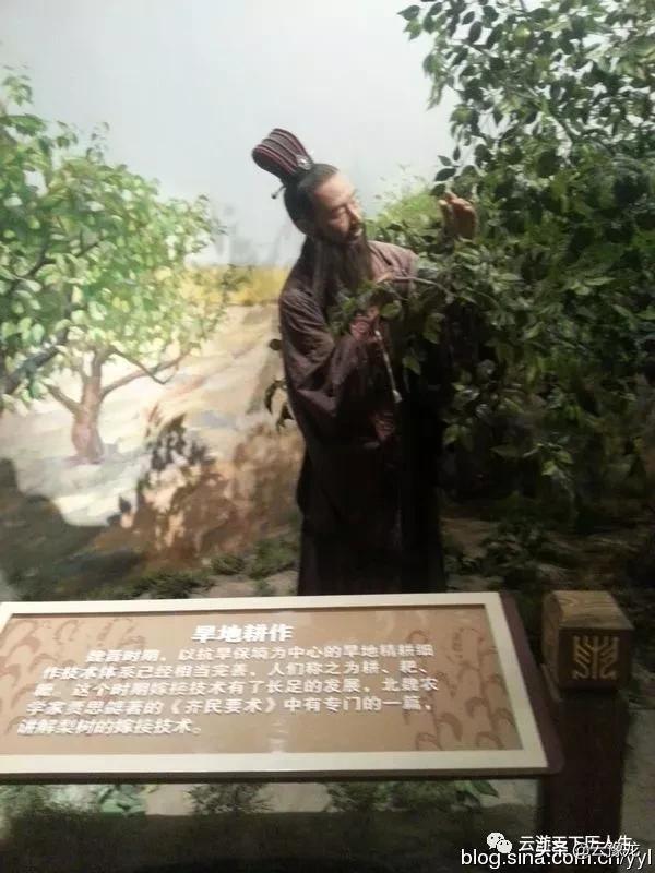 北京农业博物馆游玩攻略,农业博物馆和农业展览馆