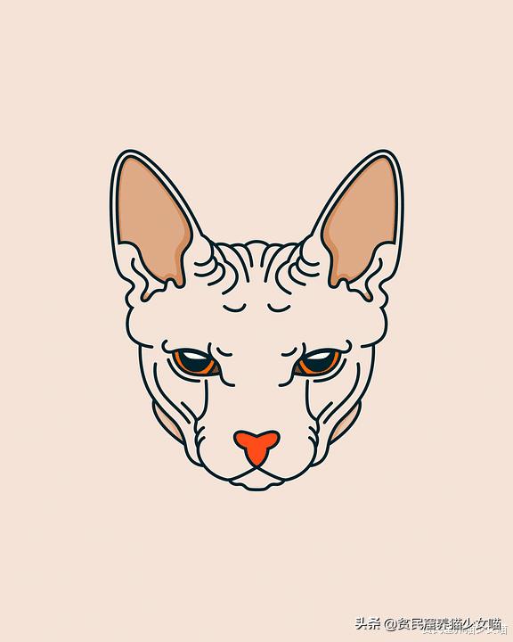 击破谣言，关于无毛猫的那些传言，有好几条都是人类想当然