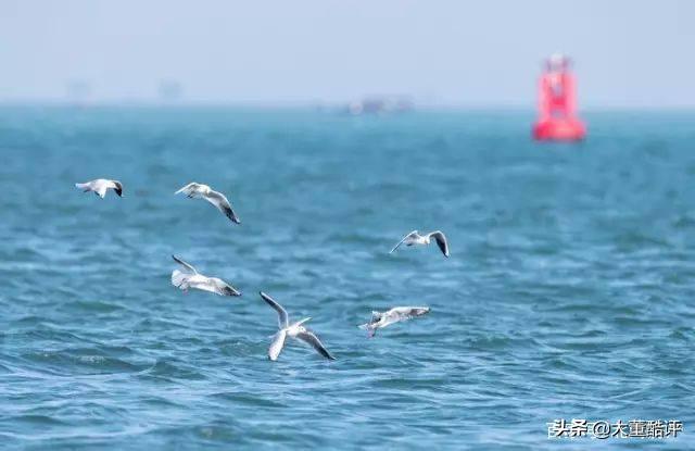 在北海居住生活,北海居住有什么利弊