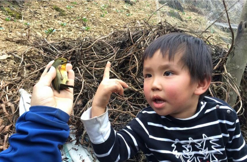 他叫辛巴，不是狮子王，8岁穿越12国：最好的教育，永远在路上