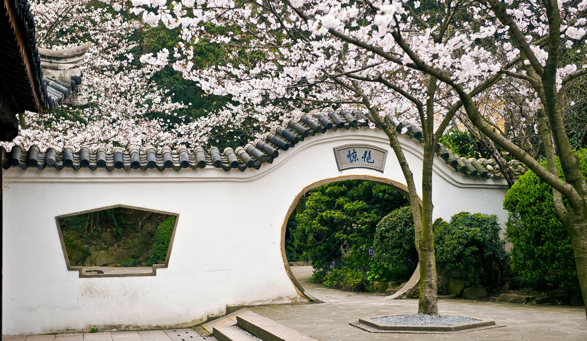 无锡鼋头渚赏樱花旅游攻略,推荐去无锡鼋头渚赏樱花的缘由