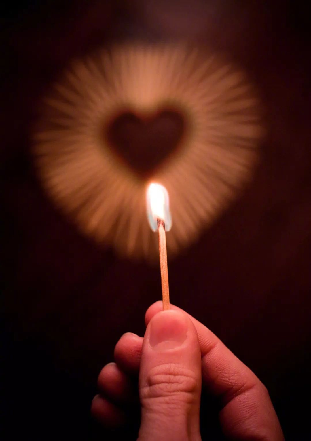 以芳华立誓不负教育强国梦,以芳华立誓背景音乐